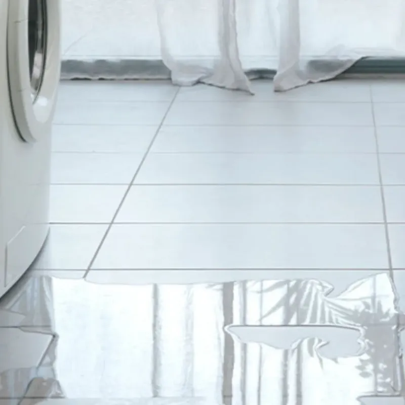 Appliance Leak Cleanup in Kempner, TX