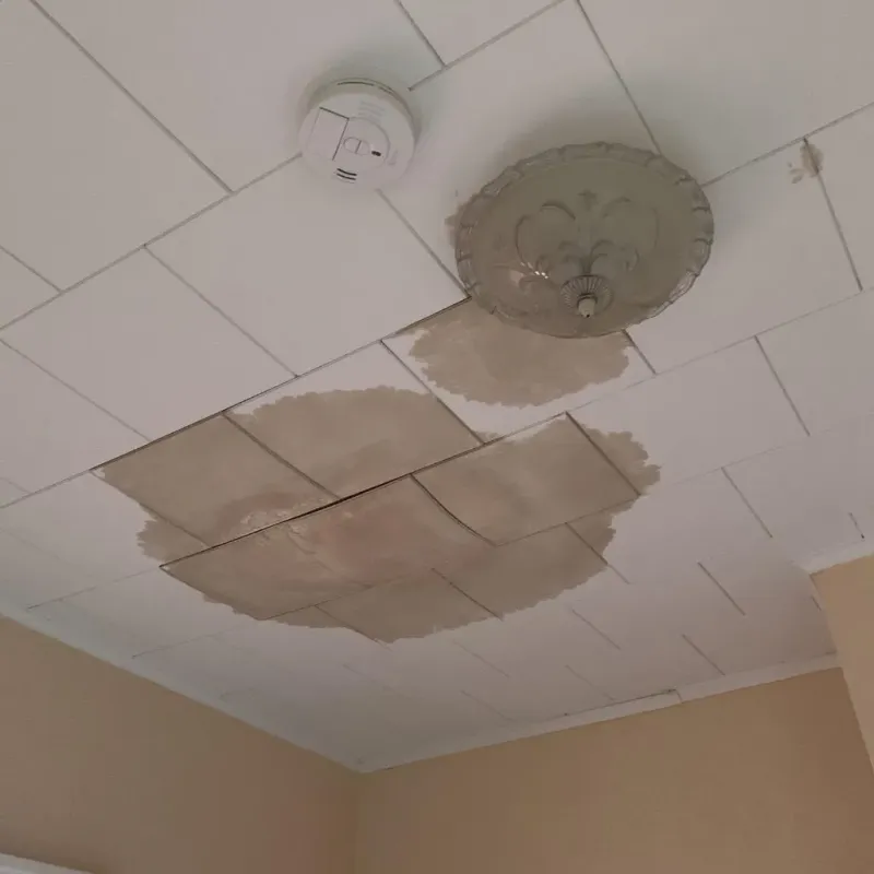 Ceiling Water Damage Repair in Kempner, TX
