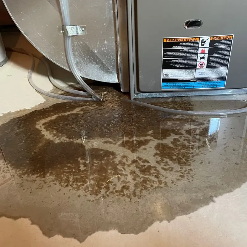 Pipe Burst and Leak Restoration in Kempner, TX