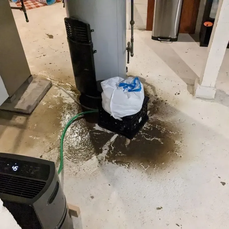 Sewage Backup Cleanup Service in Kempner, TX